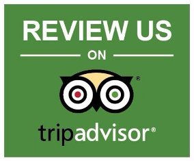 review-us-please